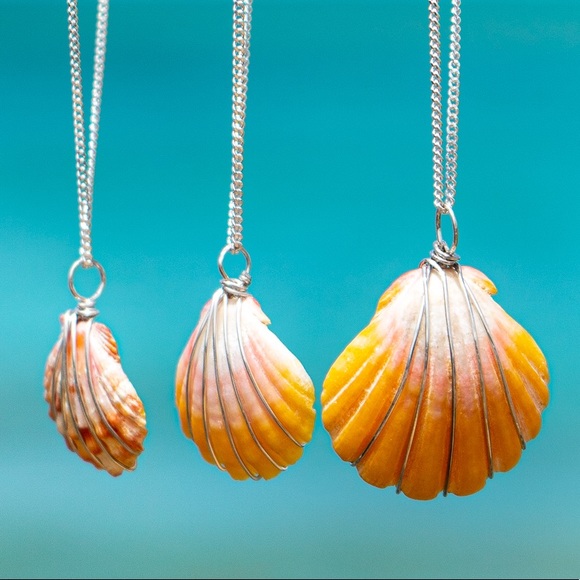 Stunning Freshwater Sunrise shell necklace - Picture 1 of 8